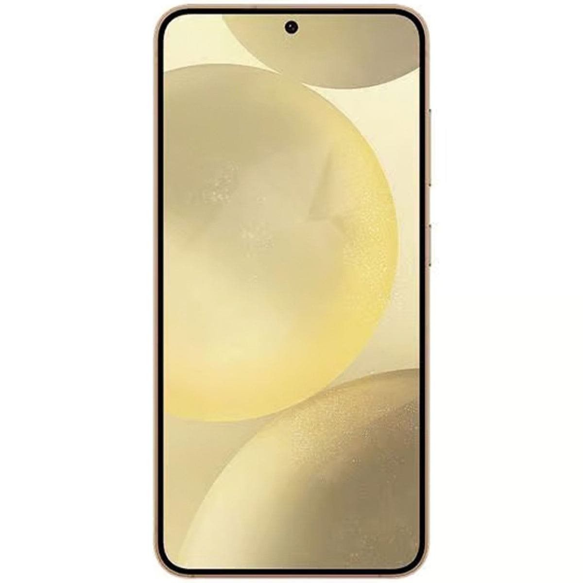 Samsung Galaxy S24 Plus Ricondizionato