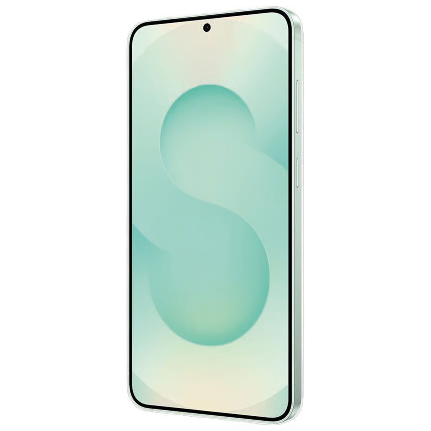 Samsung Galaxy S25 Plus Ricondizionato