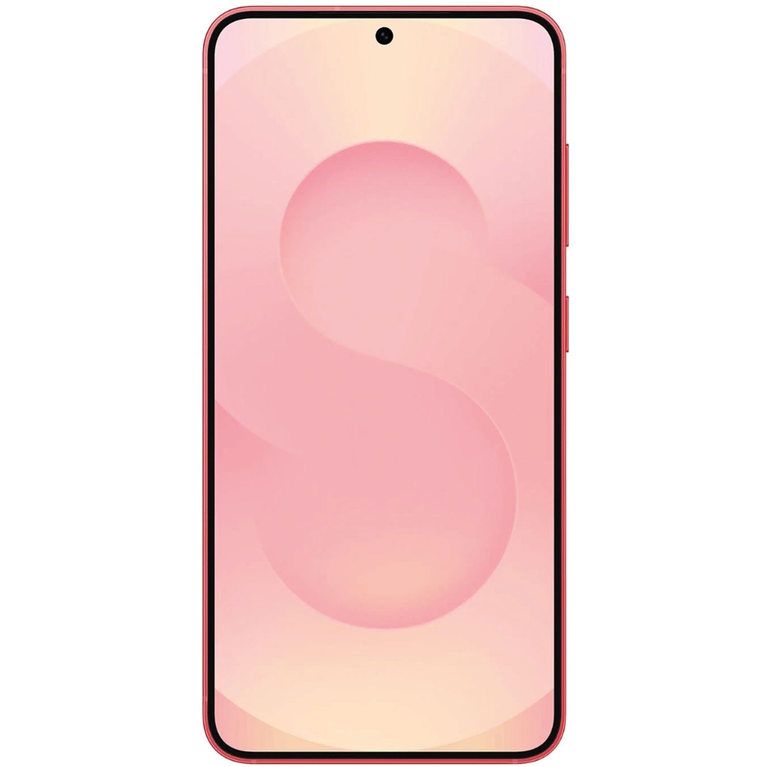 Samsung Galaxy S25 Plus Ricondizionato